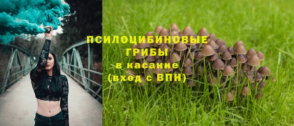 винт Кодинск