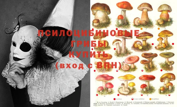 винт Кодинск