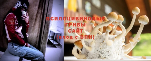 СК Козельск