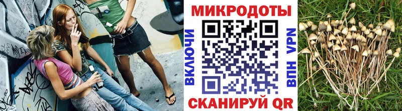 Псилоцибиновые грибы прущие грибы  Купить  Льгов 